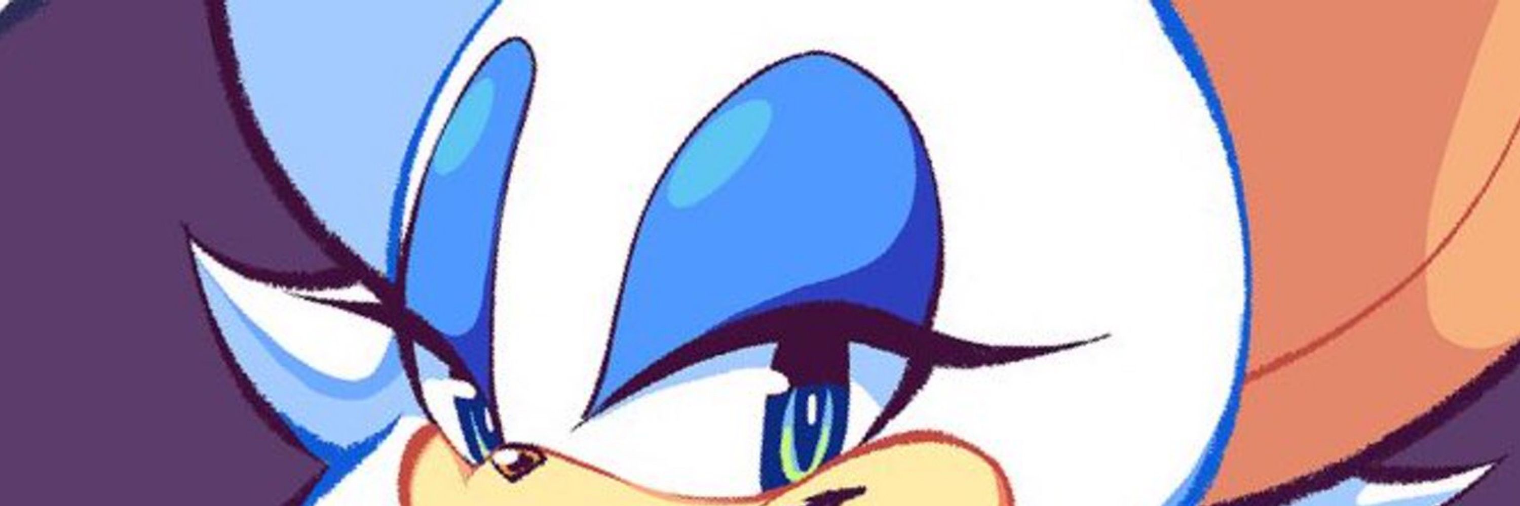 Rouge the Bat boy