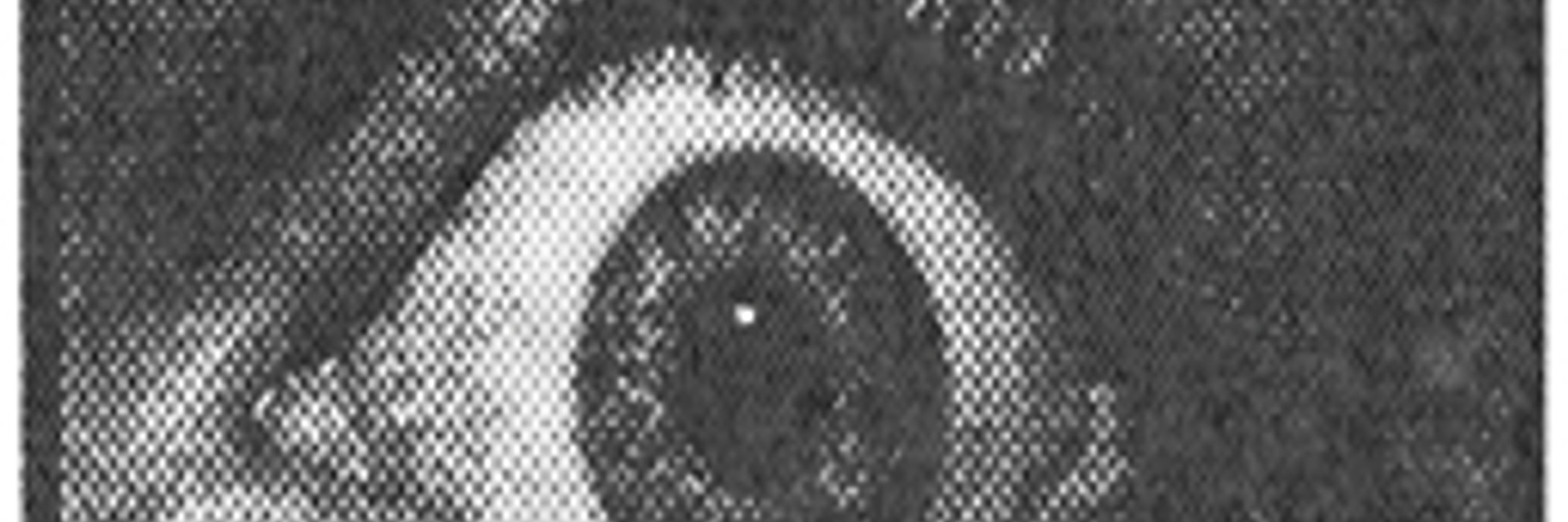 Iain Ryan