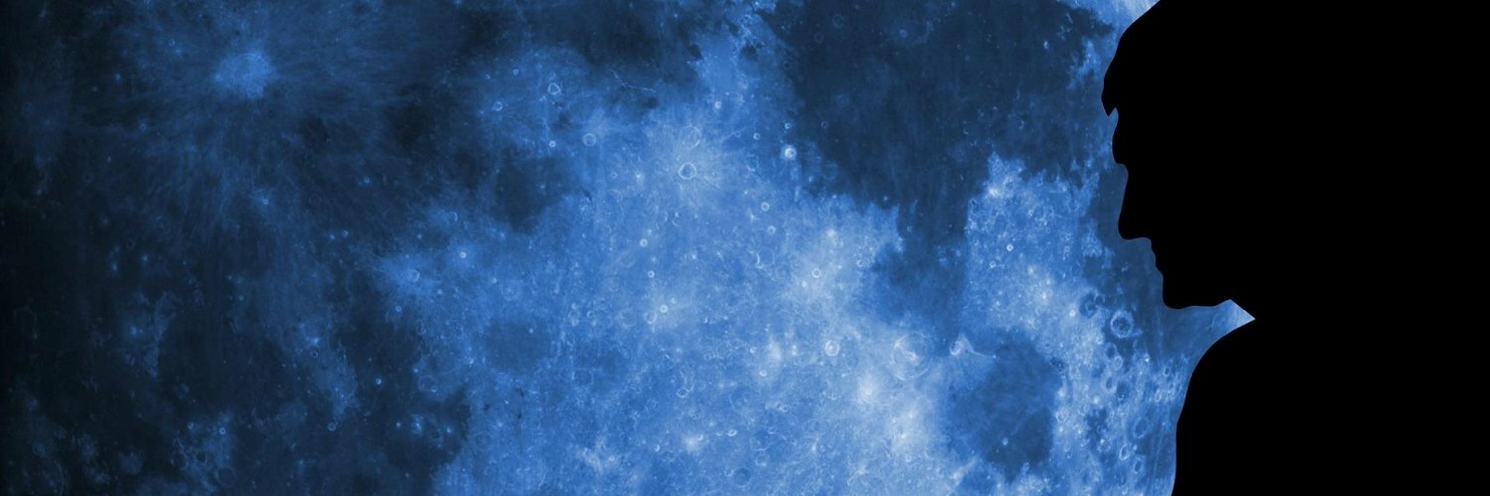Il Disinformatico