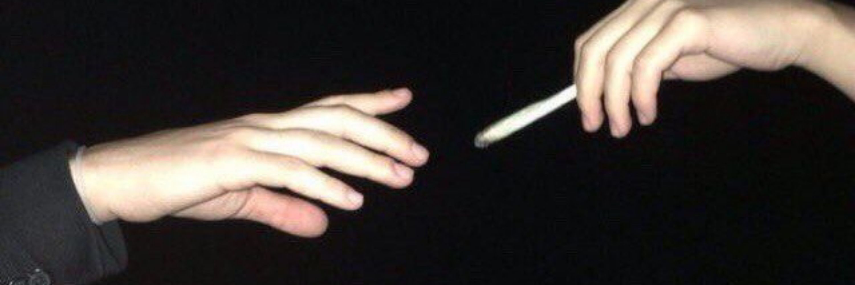 𝐆𝐮𝐢 𝐍°𝟖
