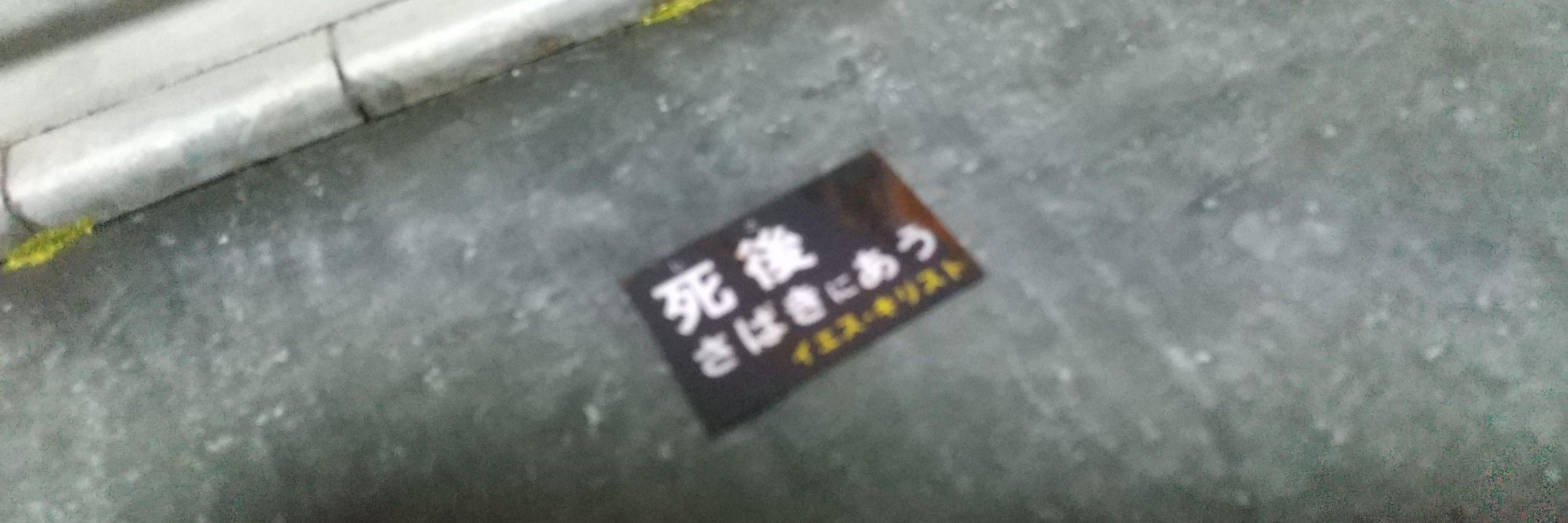 ブリダイコンギン