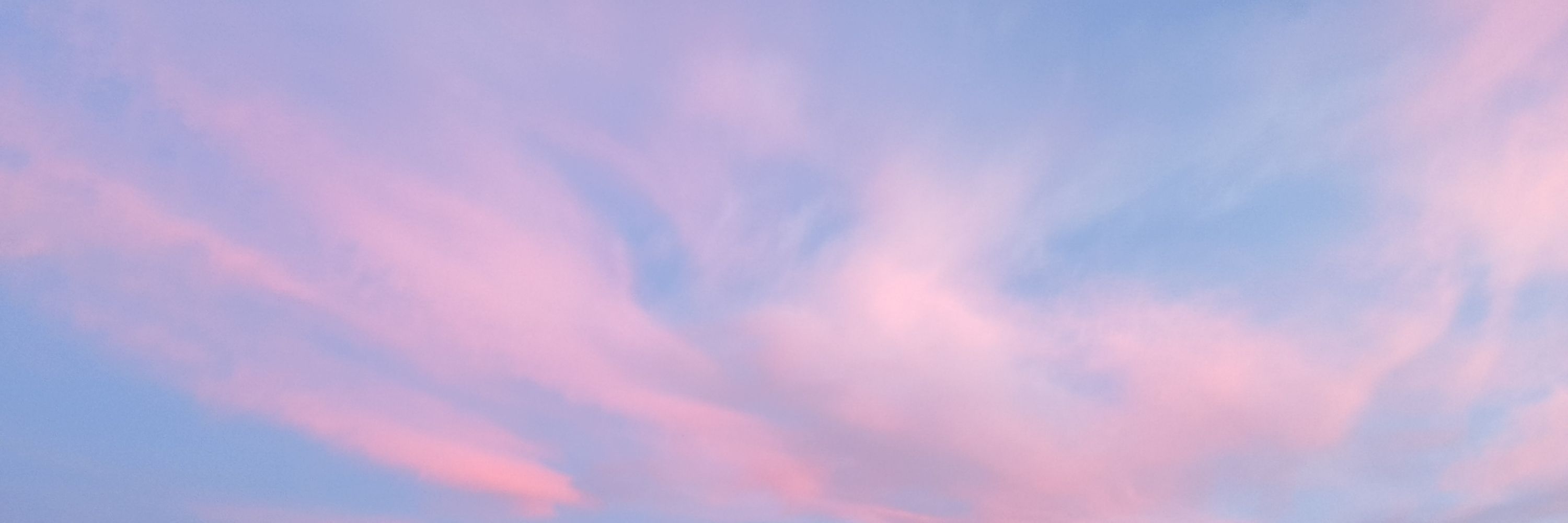 ____hitoe