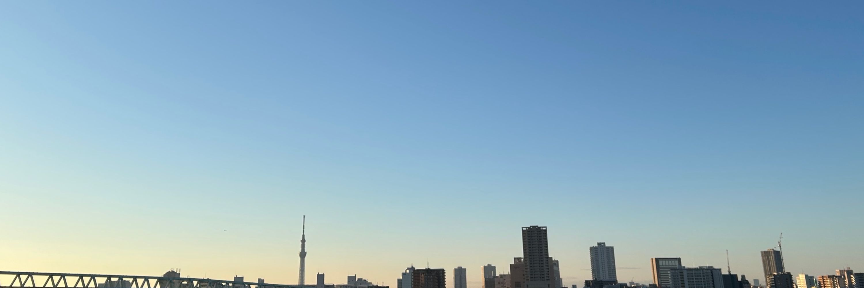 かごめ