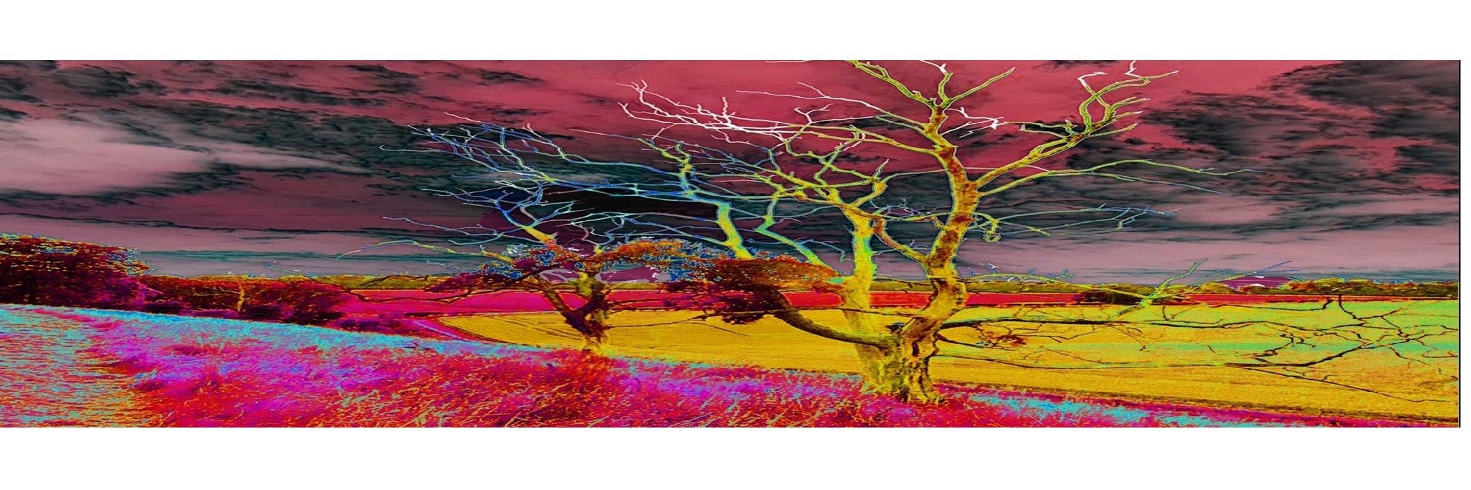 Carl F Northwood
