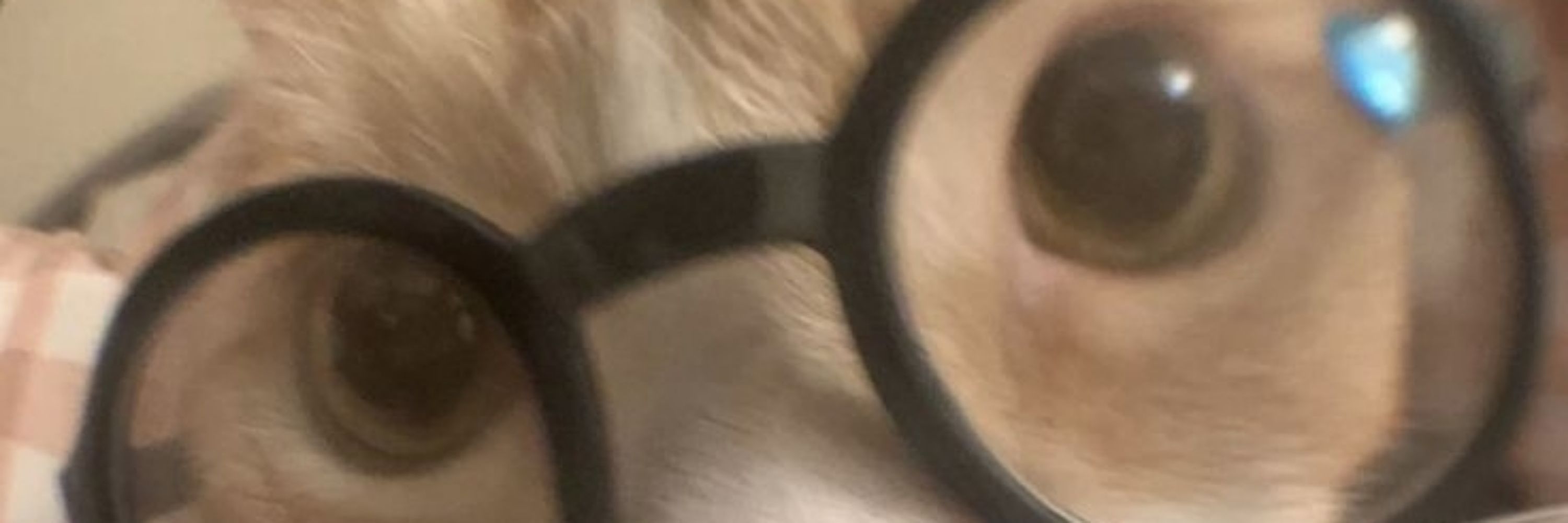 ‍