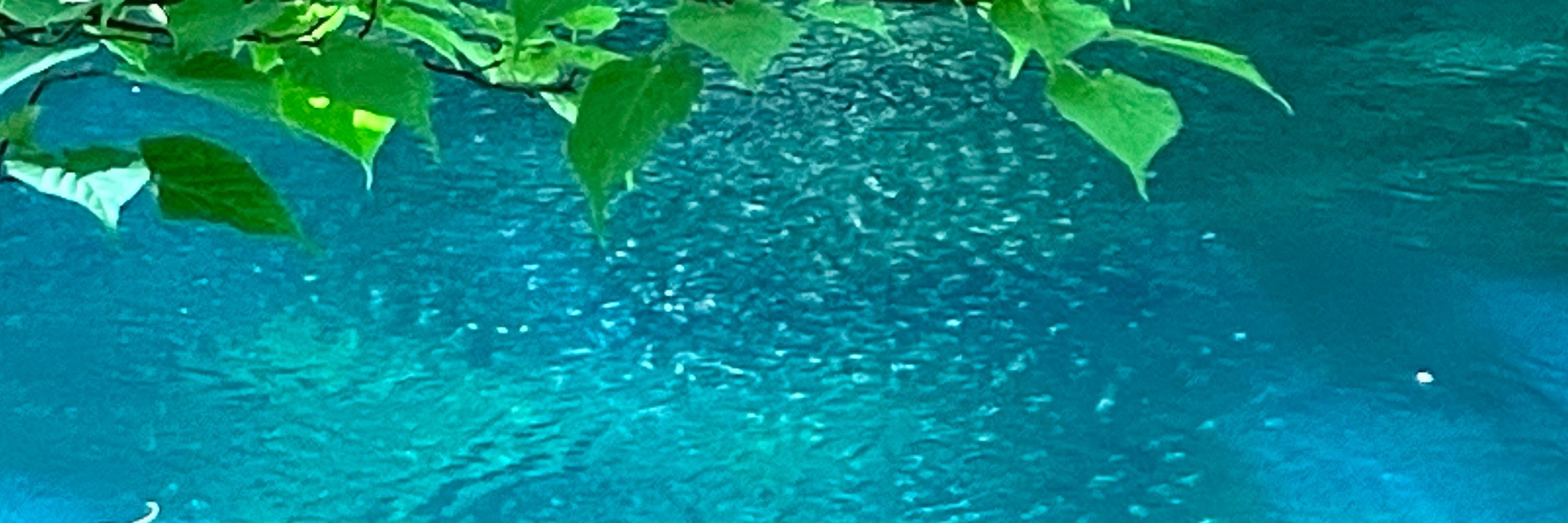 げる