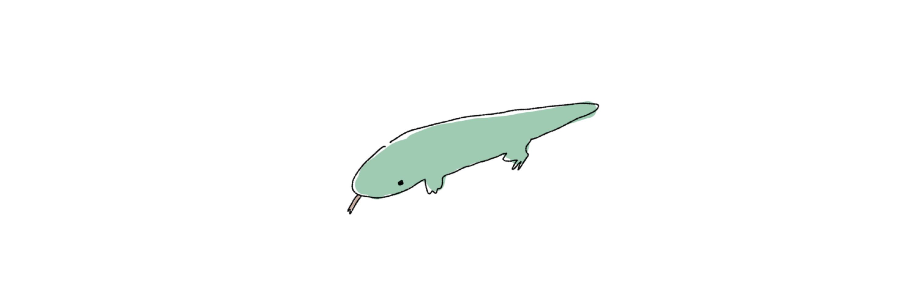 鯖