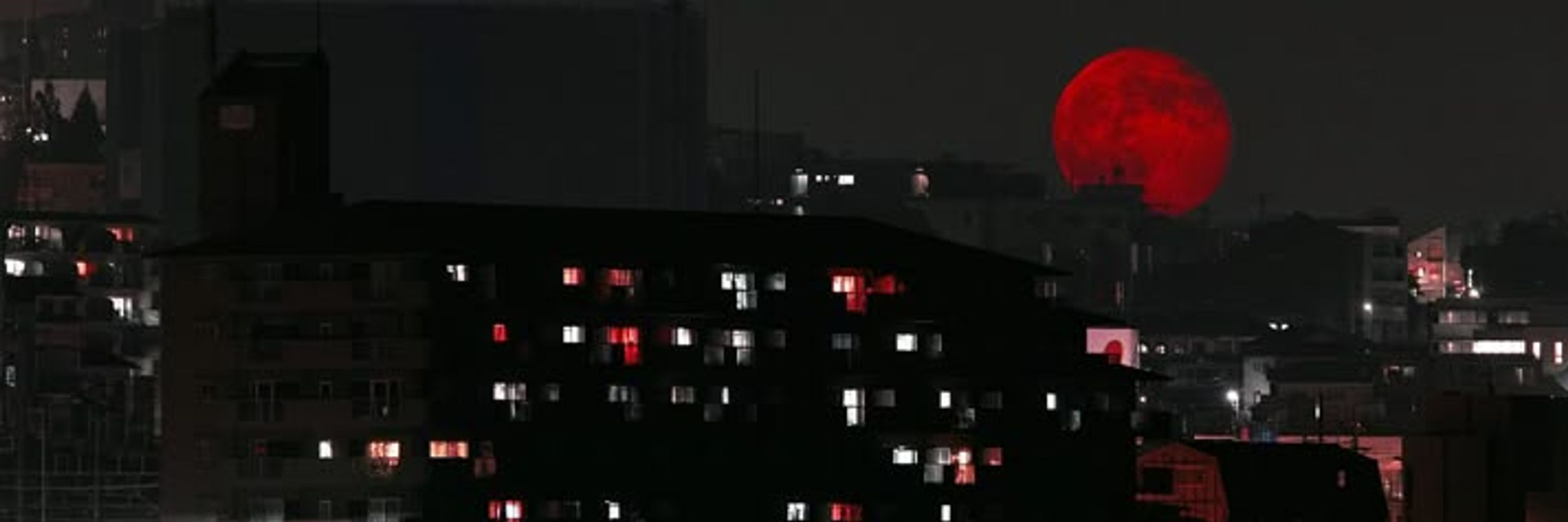 nuri, 명. (Dstv)