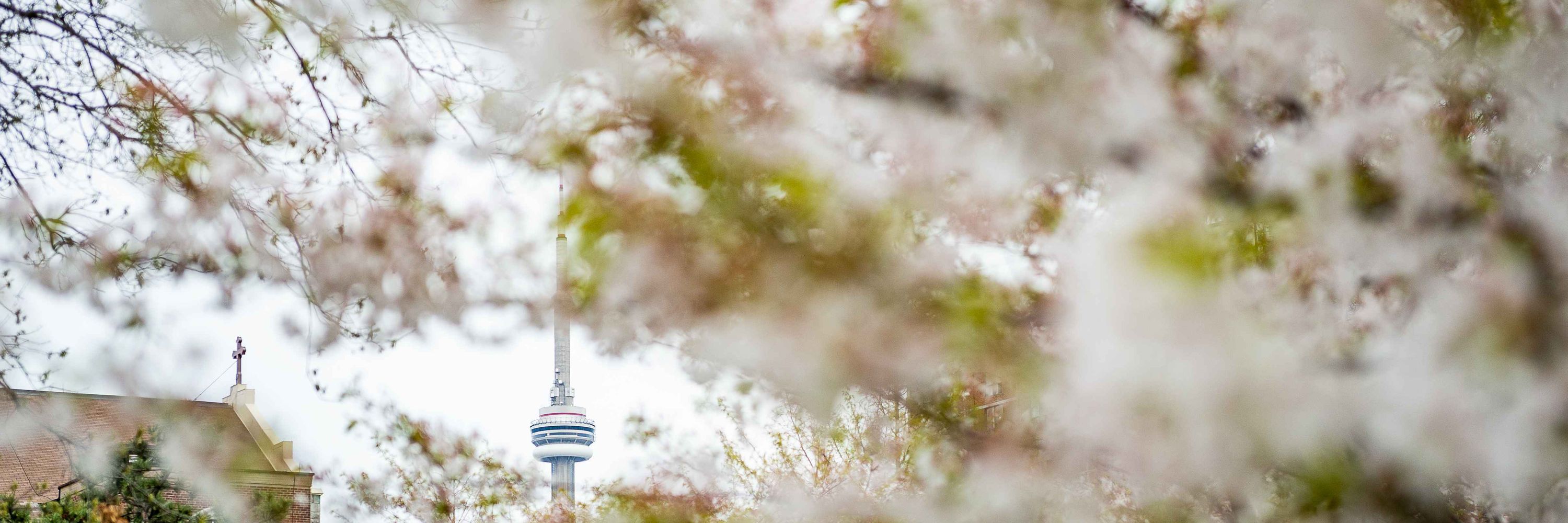 City of Toronto
