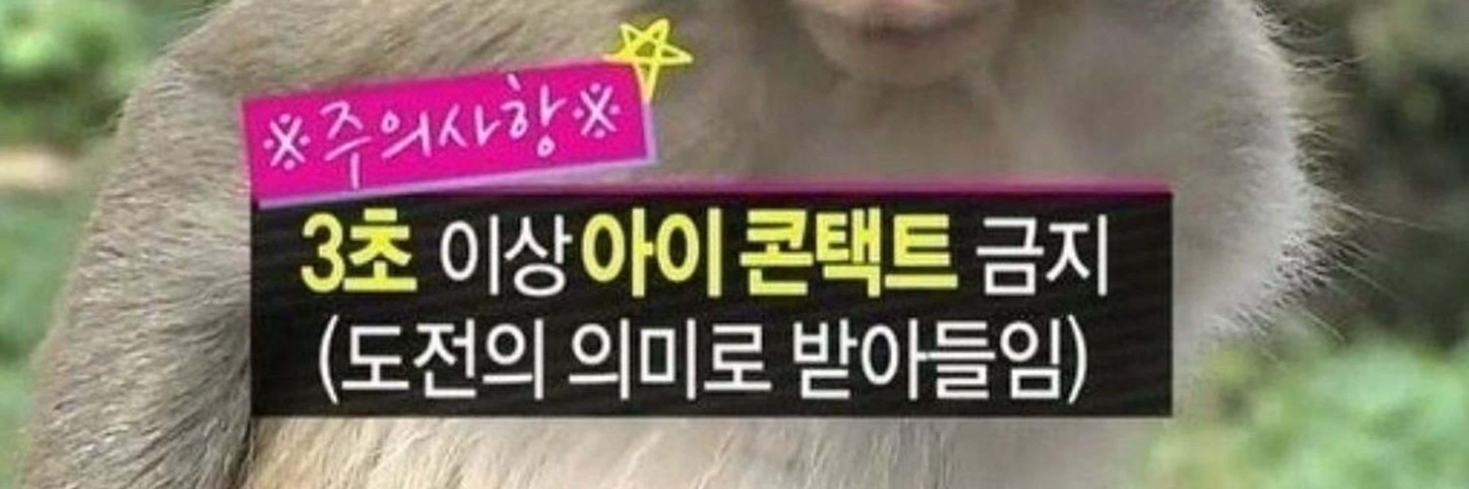 힝쥬
