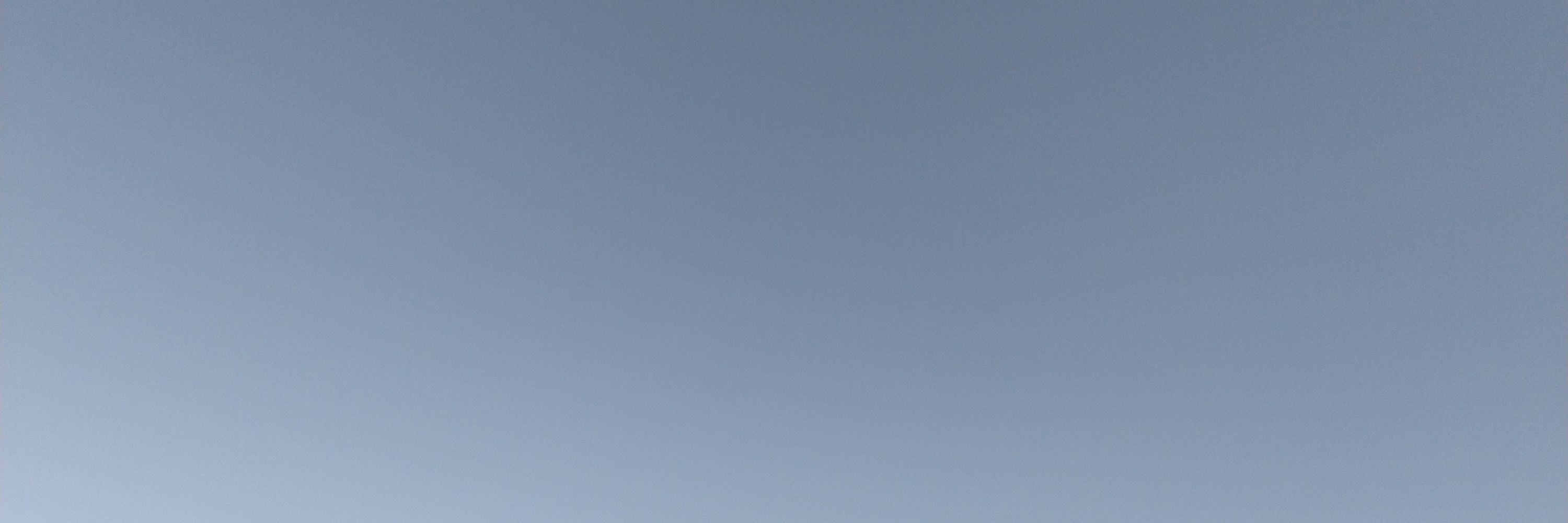 KZ　　　（a.k.a. 向井周富徳）
