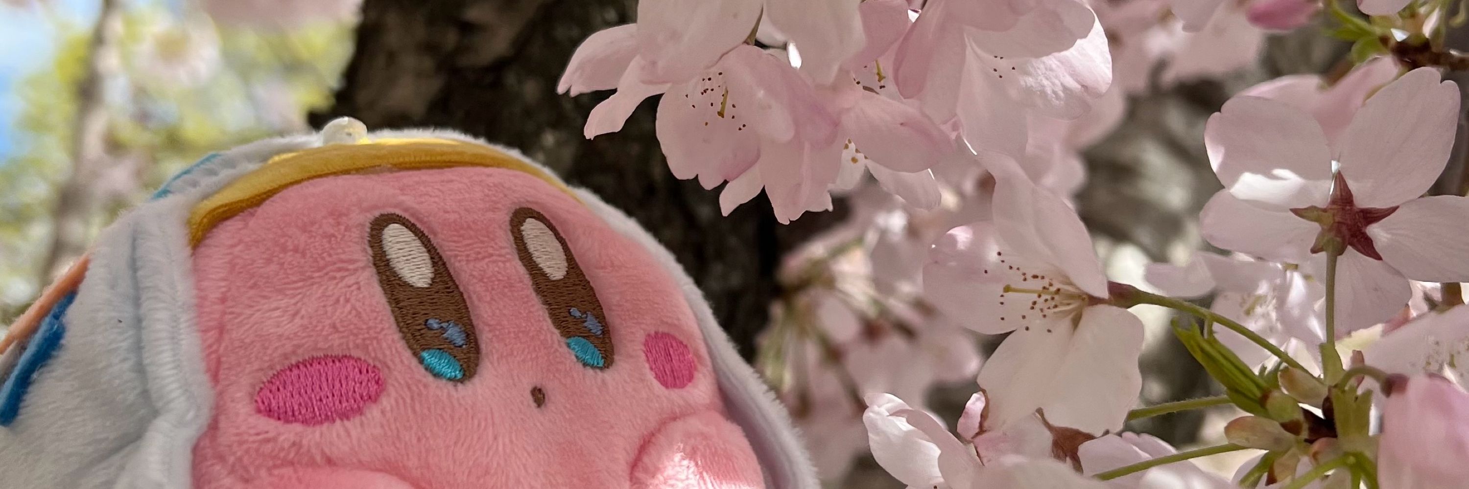 𝓾𝓮