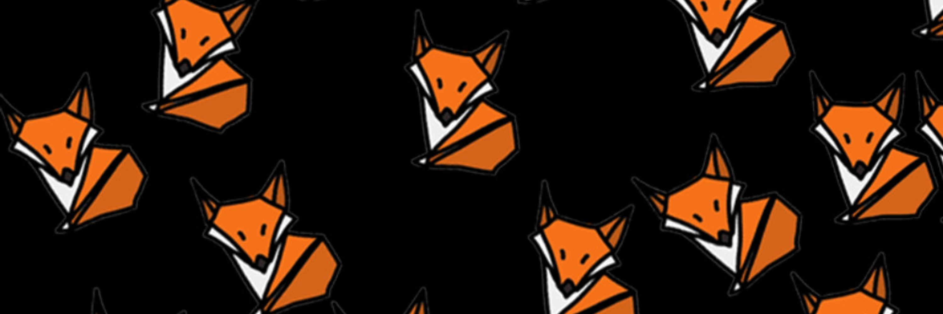 Cartesianfox