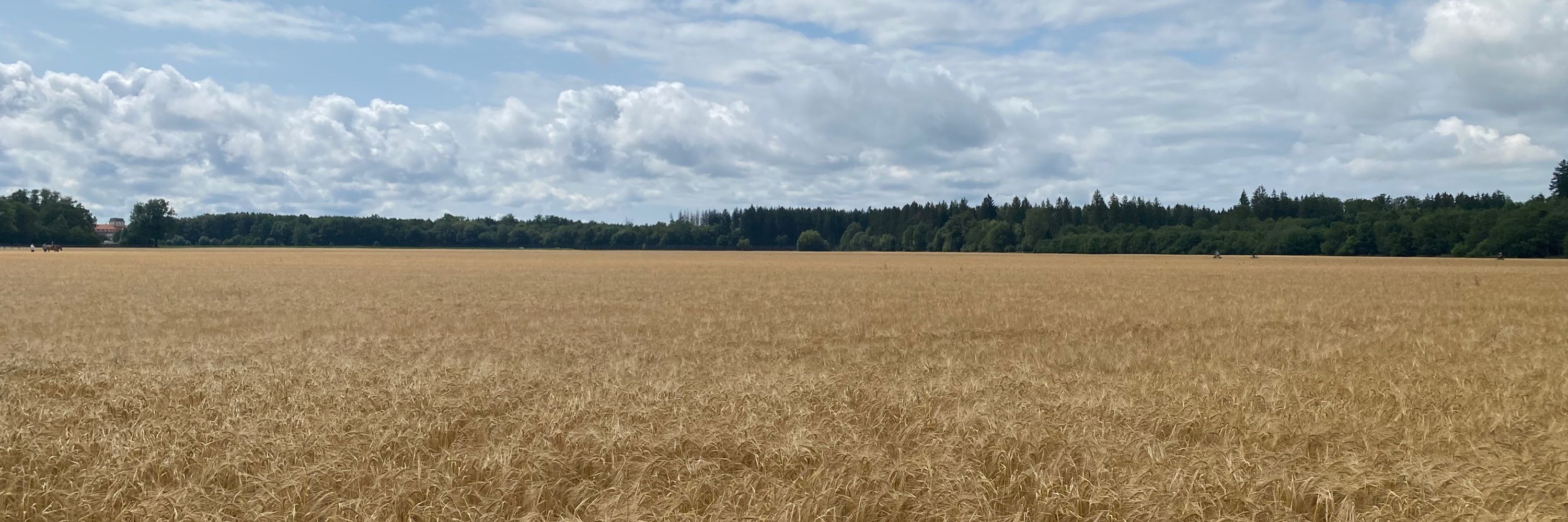 Alte_Rebin 🇺🇦