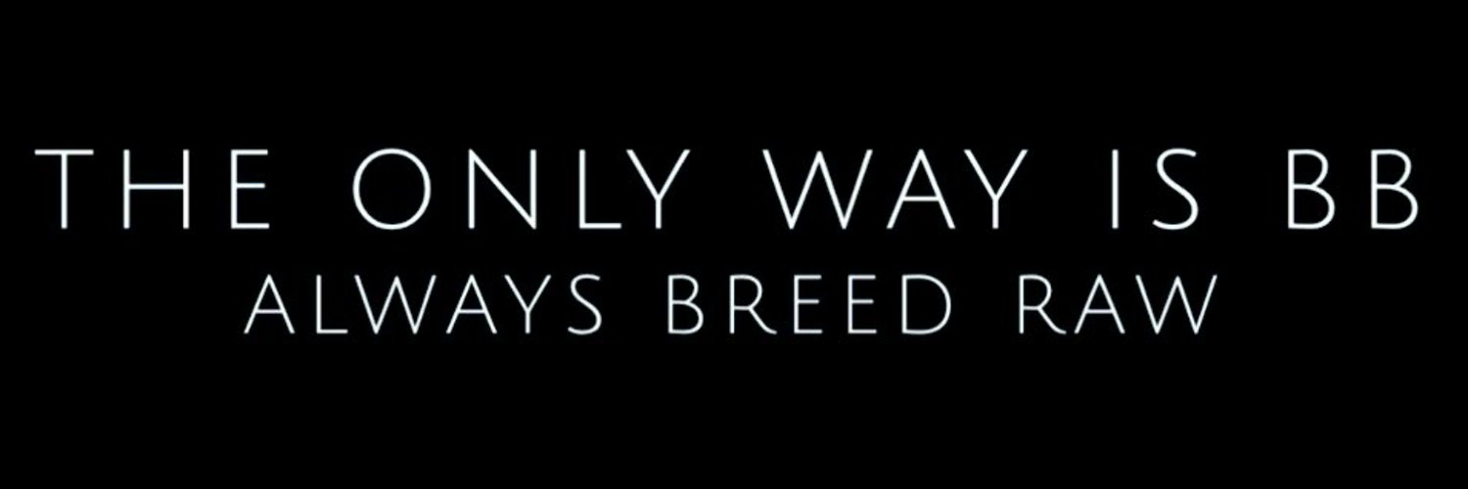 The Only Way Is BB