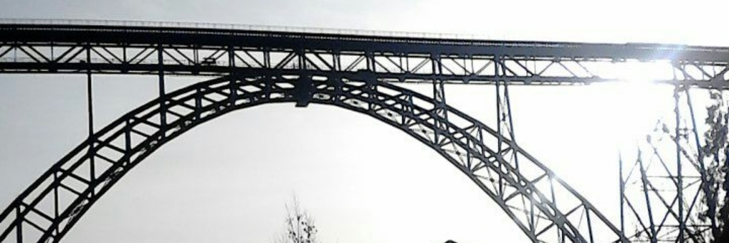 OSchneiby