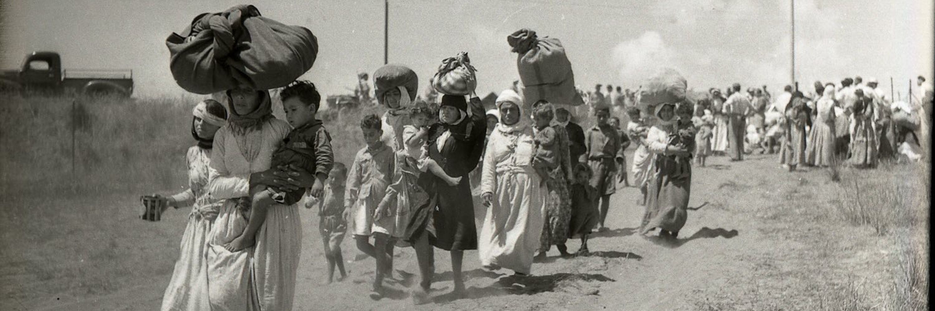 Daphné Dphns 🇵🇸🍉