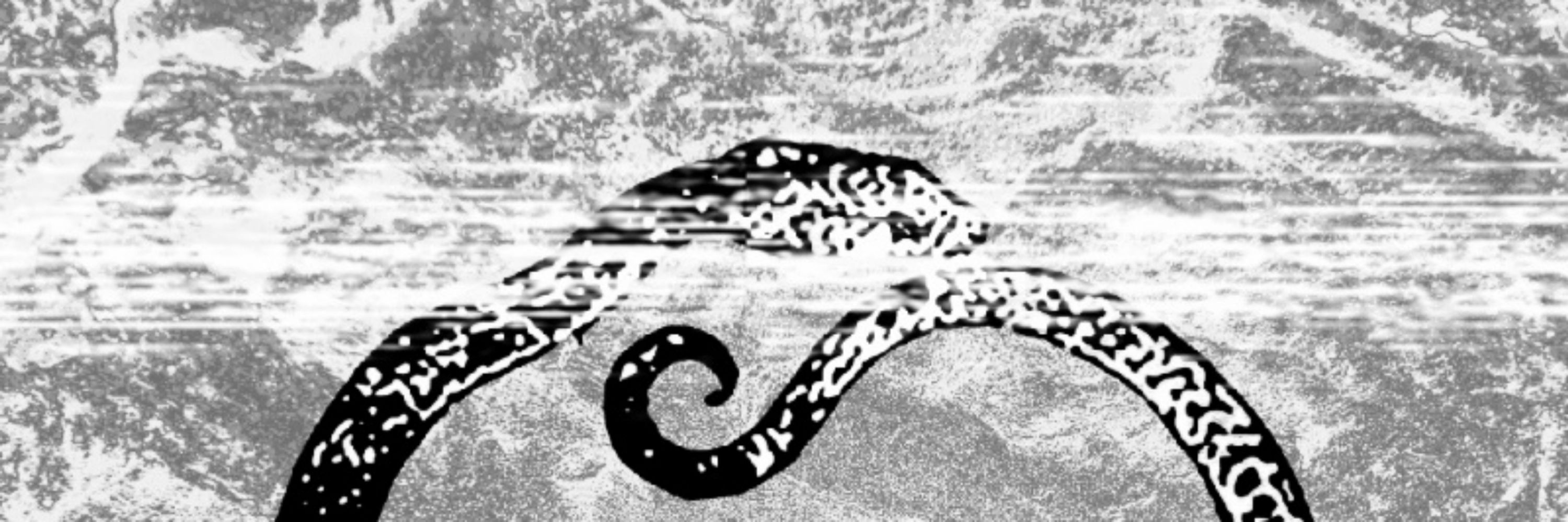 Shadows of the Worm