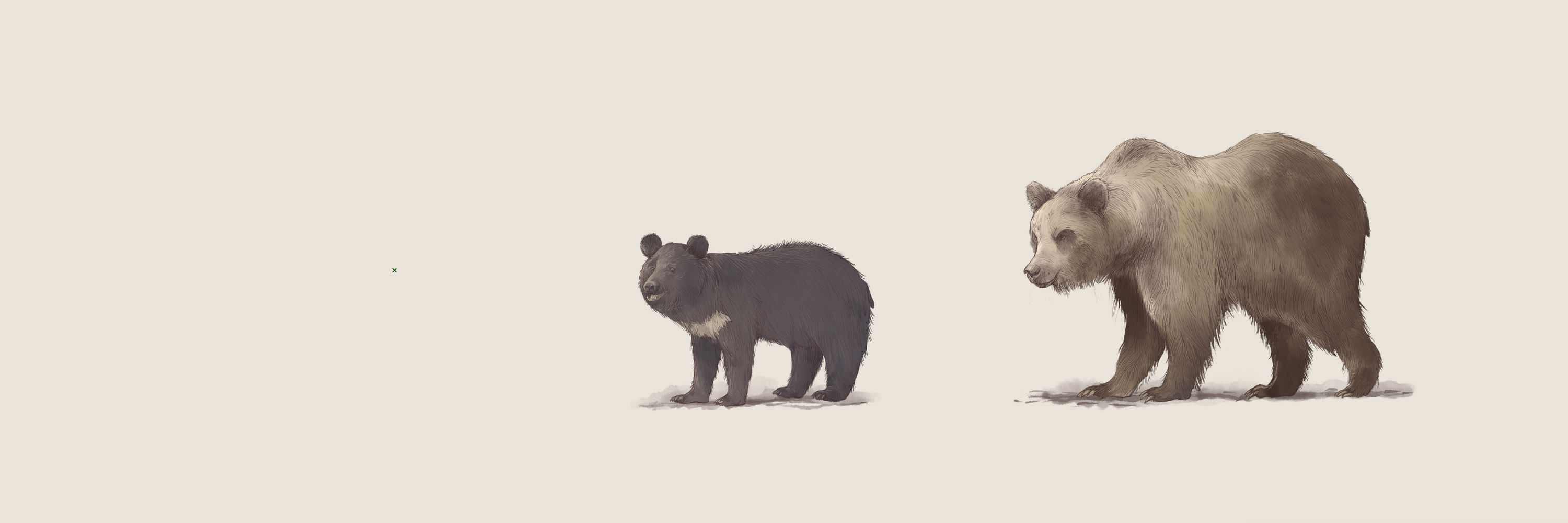 Reuters Graphics