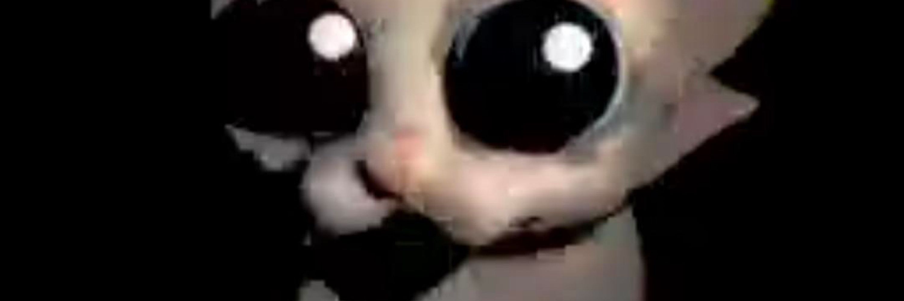 Hugh Jass