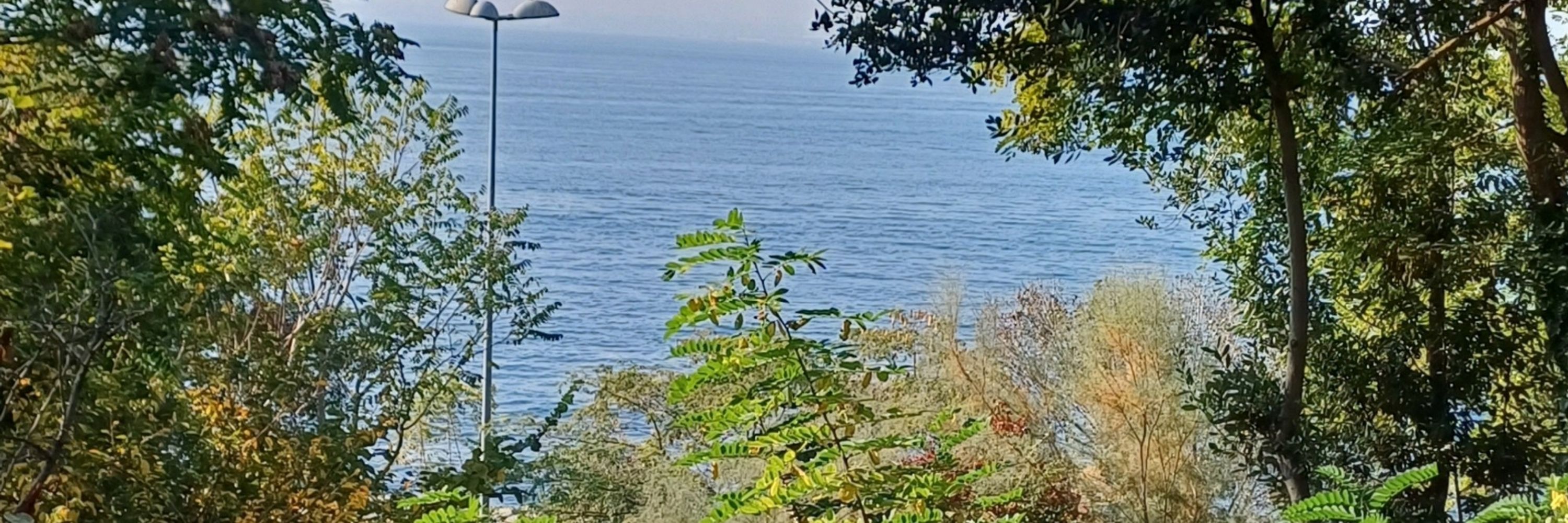 Emrah Bulut