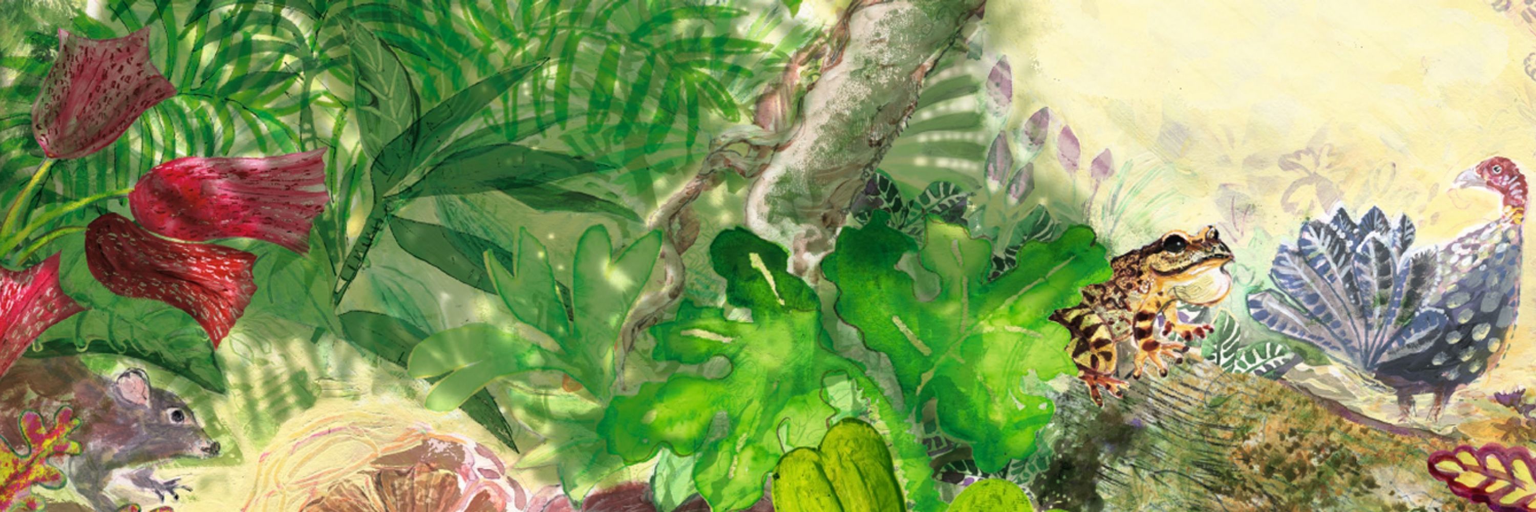Liz Anelli illustrator