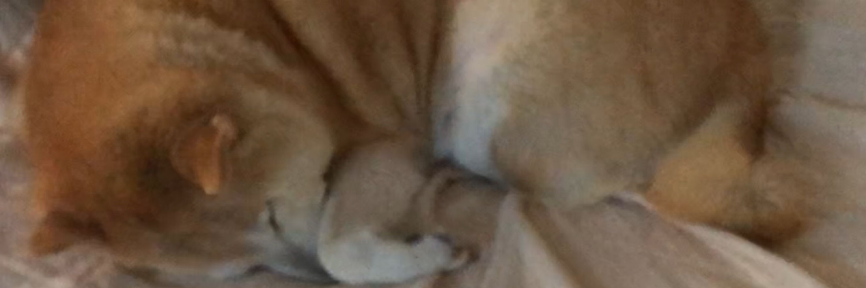 光