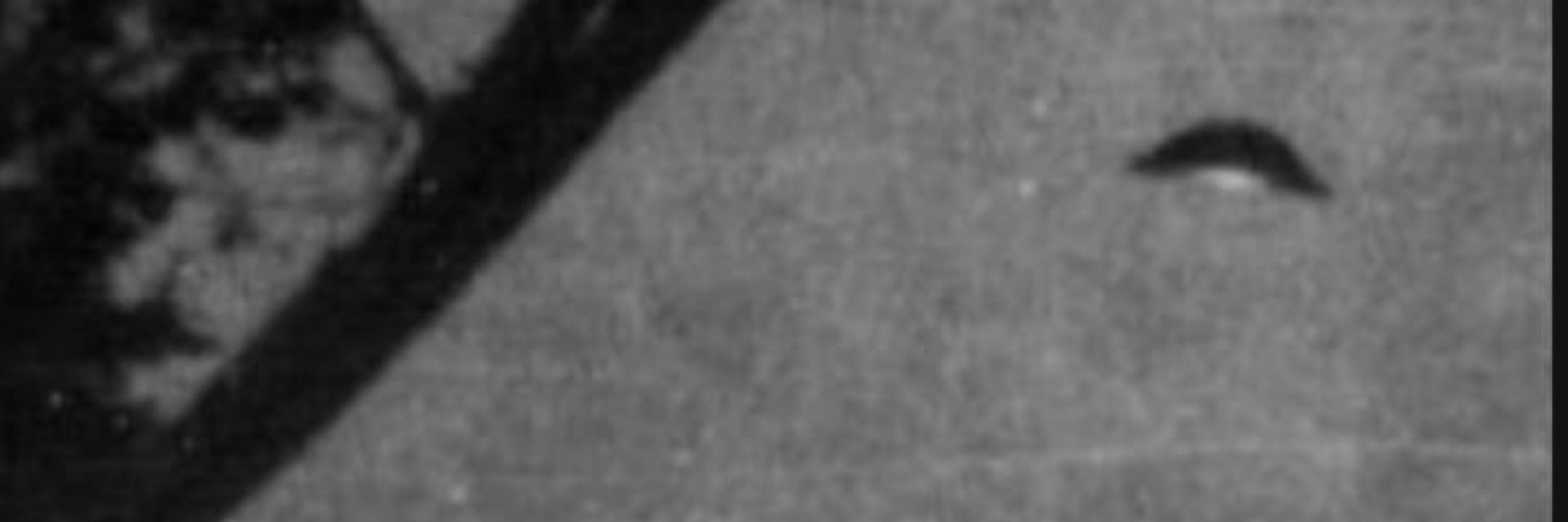 The Cryptid Code