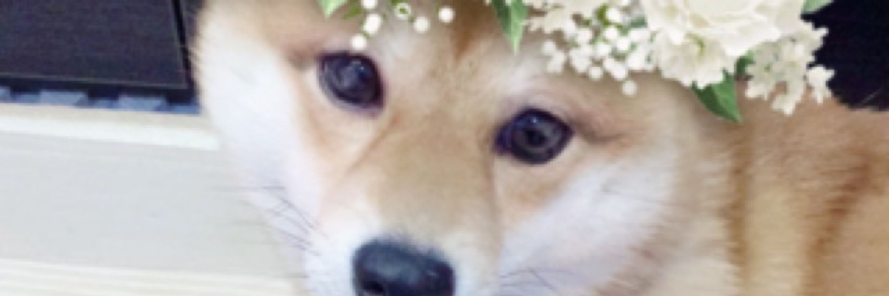 ヨダキーおーの@大分県民