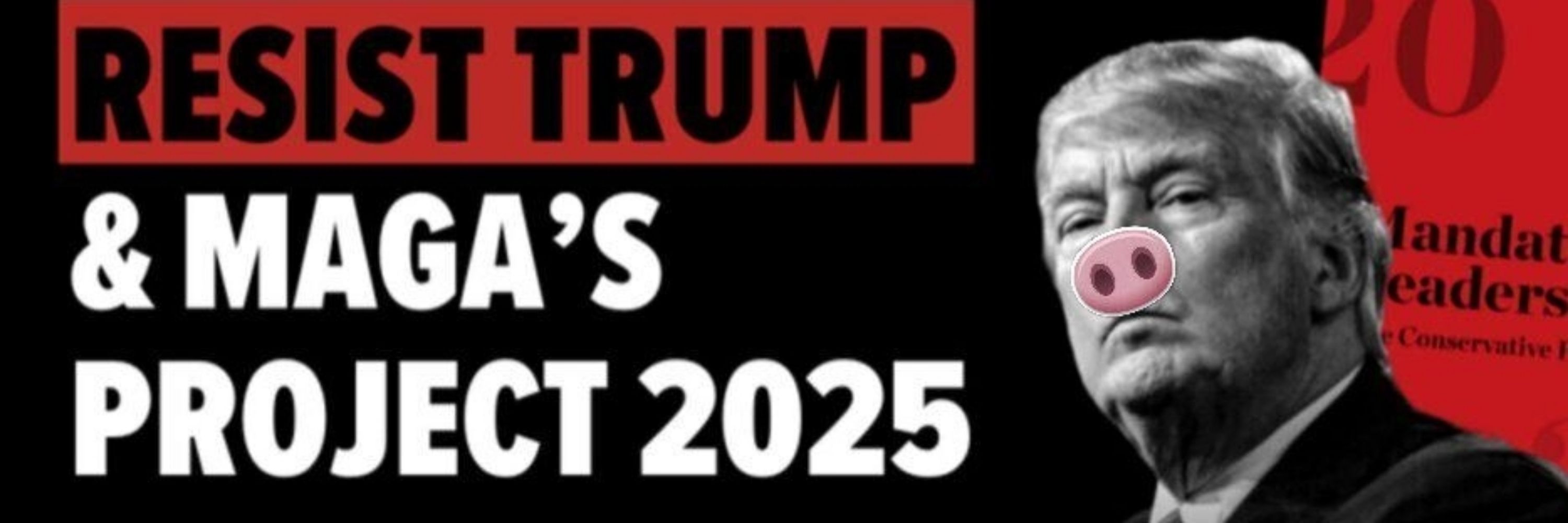 Resist the 🍊🤡 oligarchy!! 🔥🔥