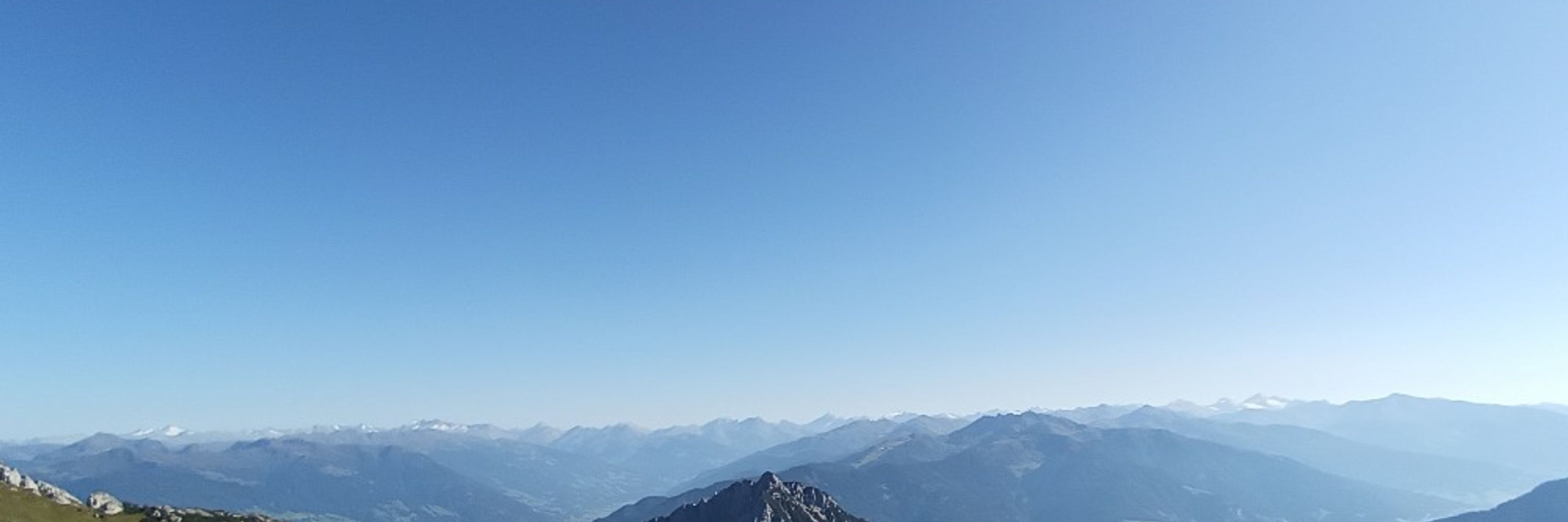 PoLeo Menta