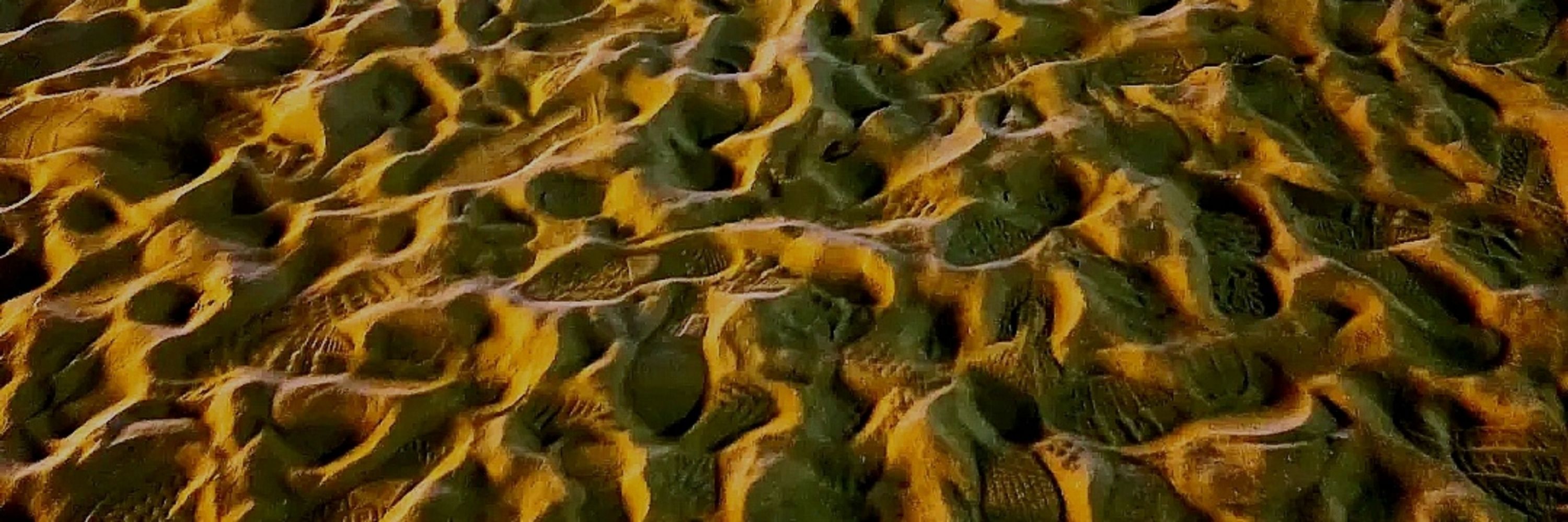 83
