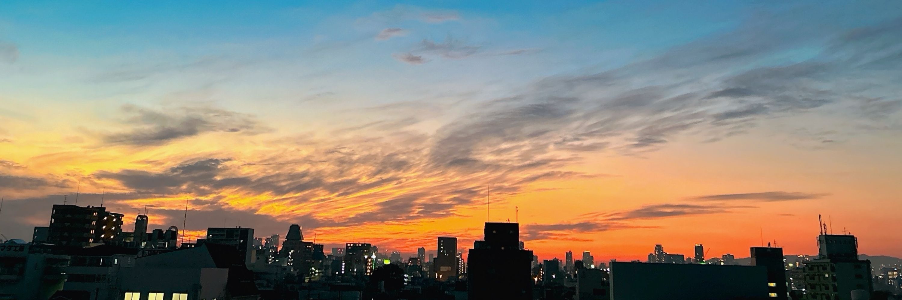 麗羅