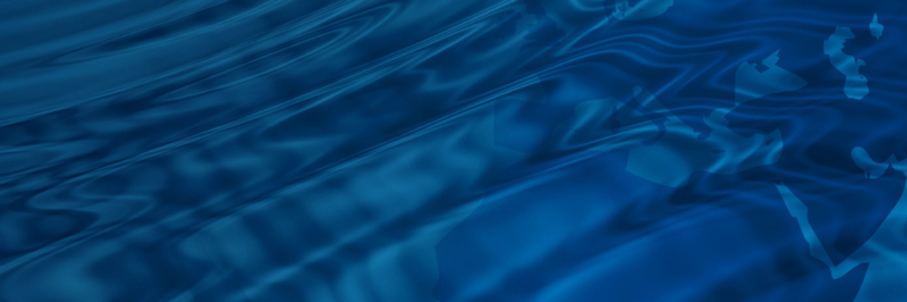 Centre for Affordable Water and Sanitation Technology (CAWST)