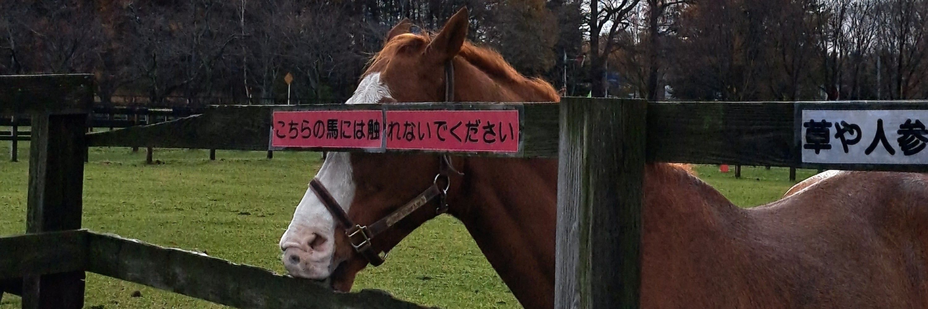 すいてん