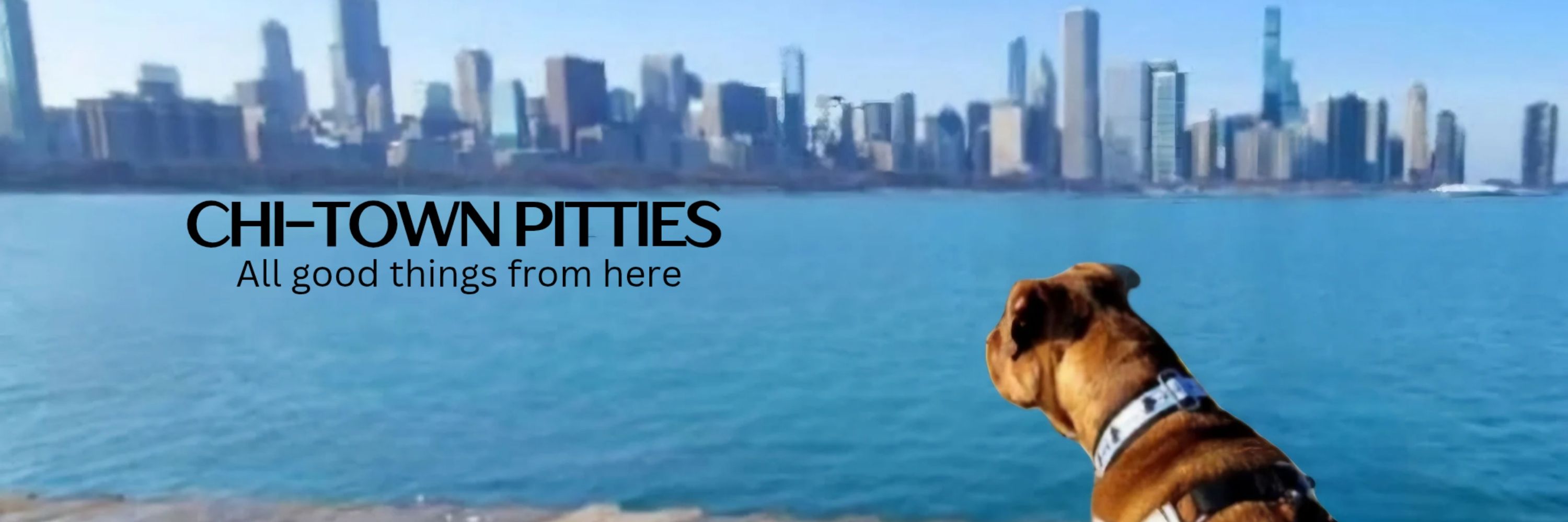 Chi-Town Pitties, Inc