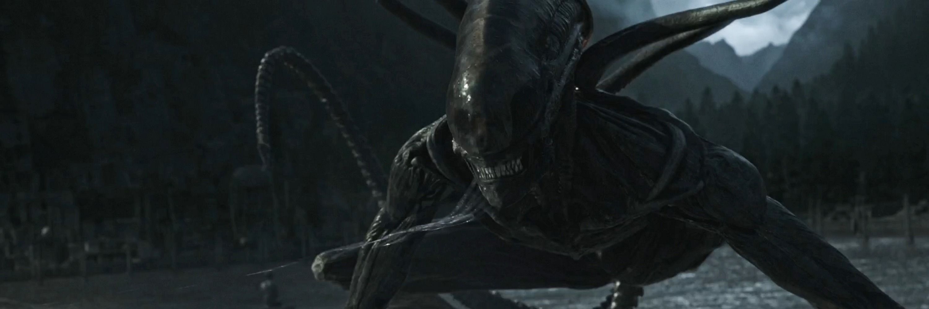 Xenomorfo