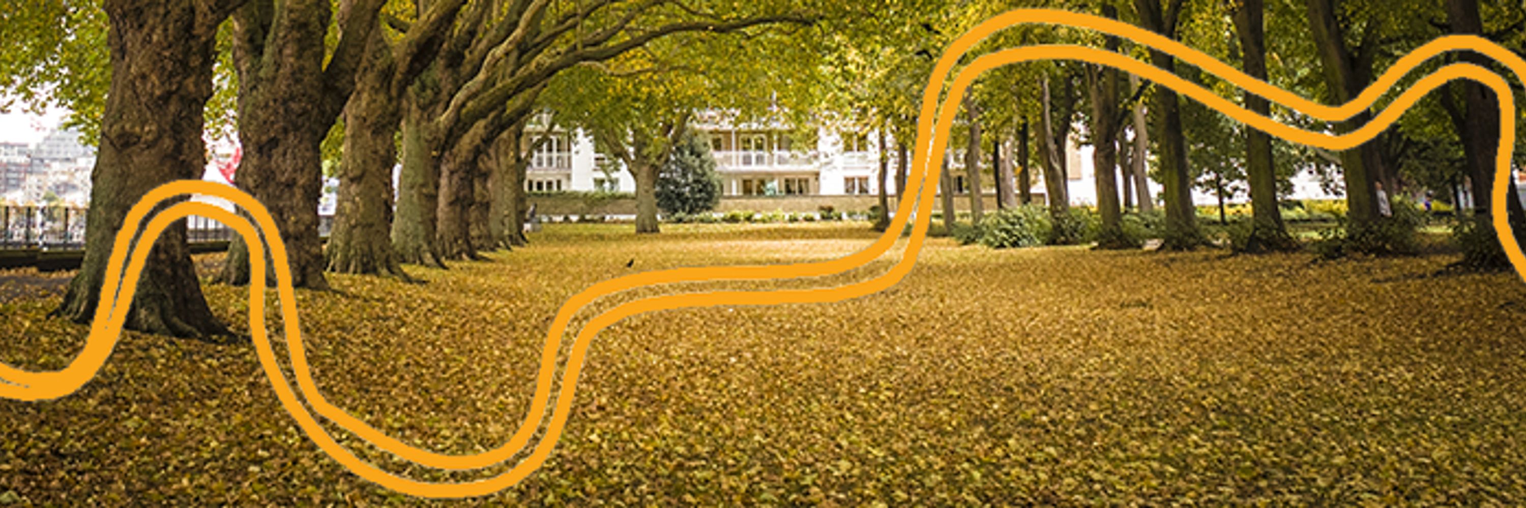 🔸 Wandsworth Liberal Democrats