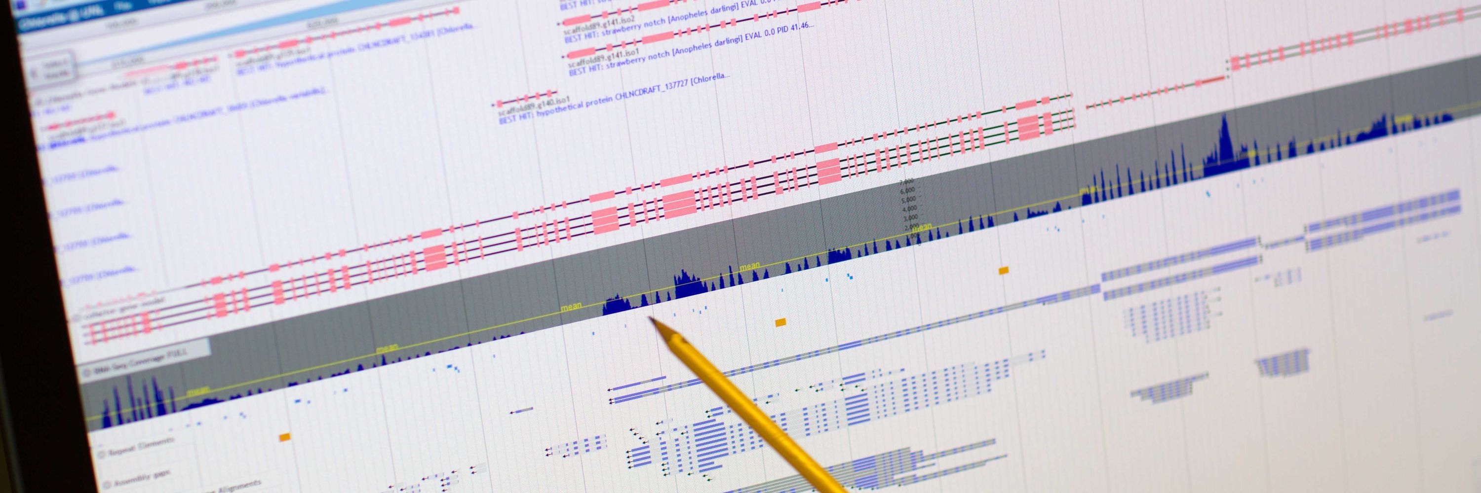 Bioinformatics Core