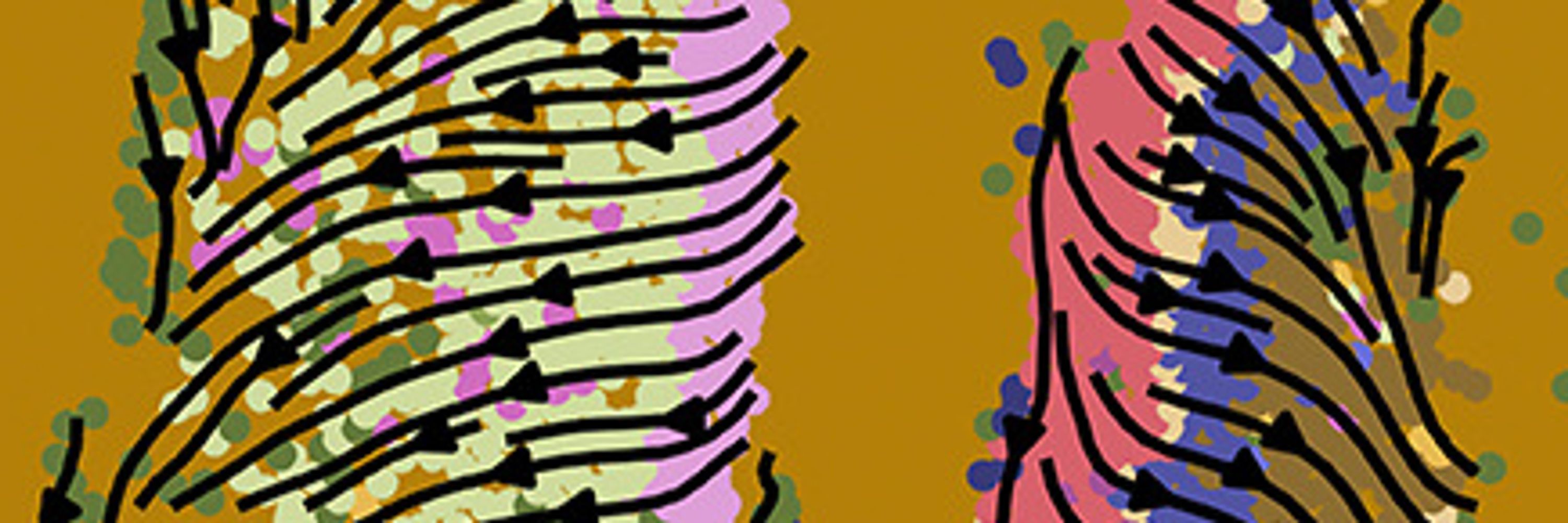 Cell Systems 