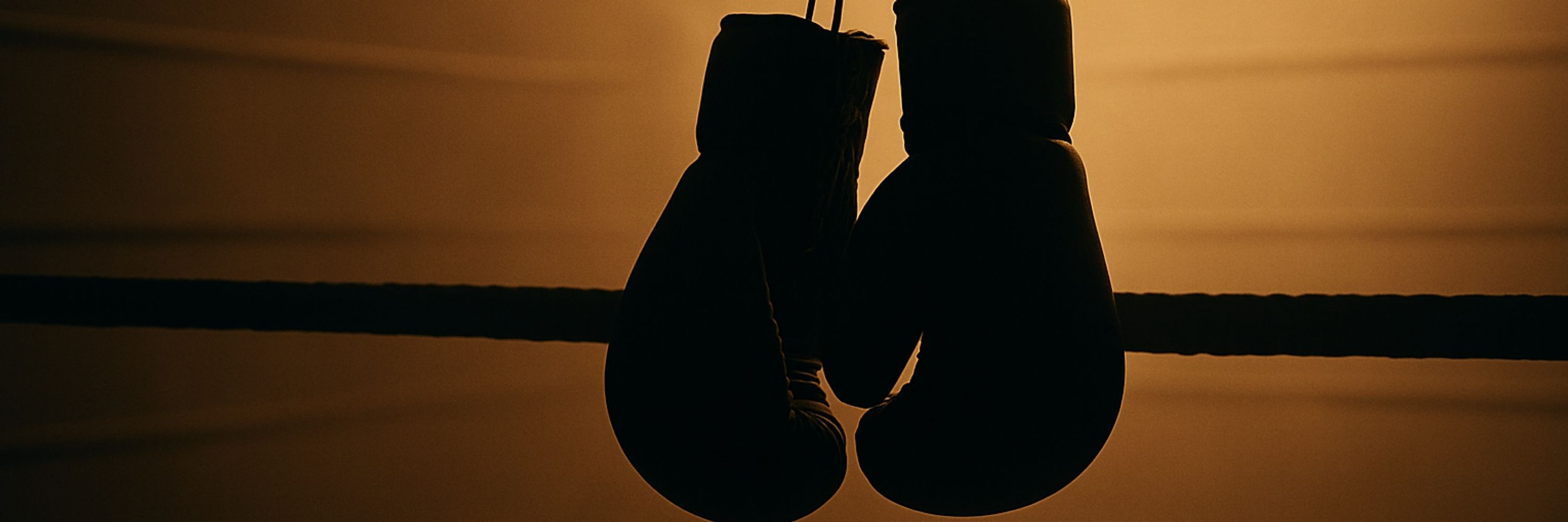 Blurred Vision Boxing