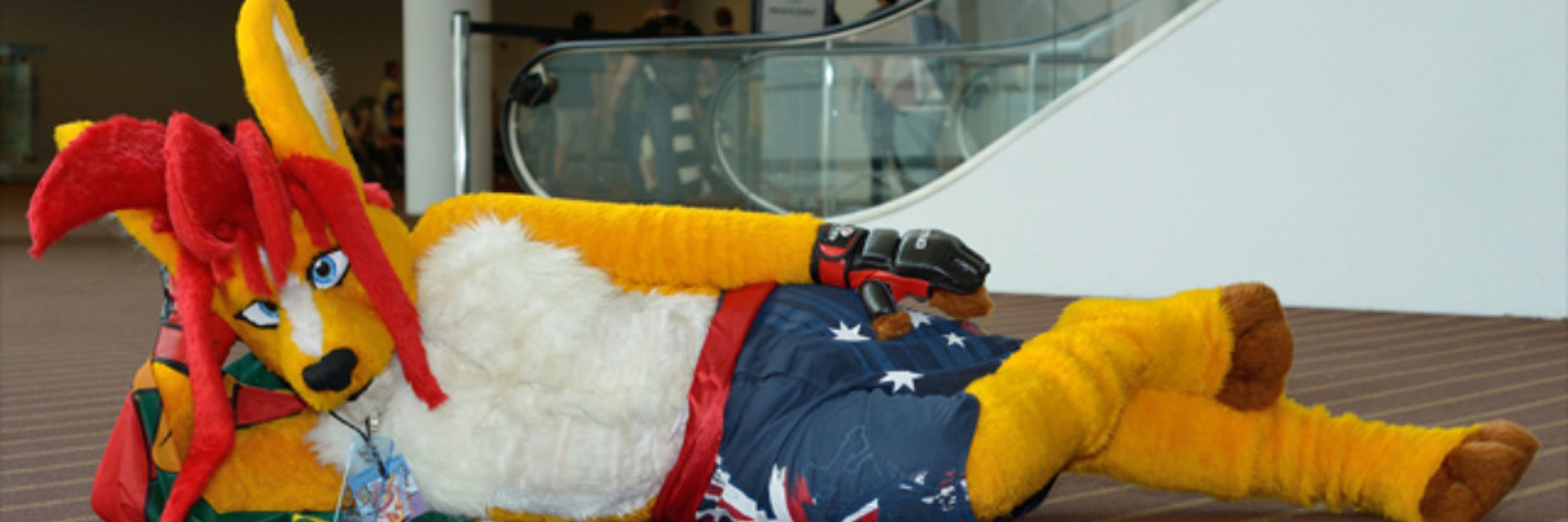 Espilonarge The Dingaroo