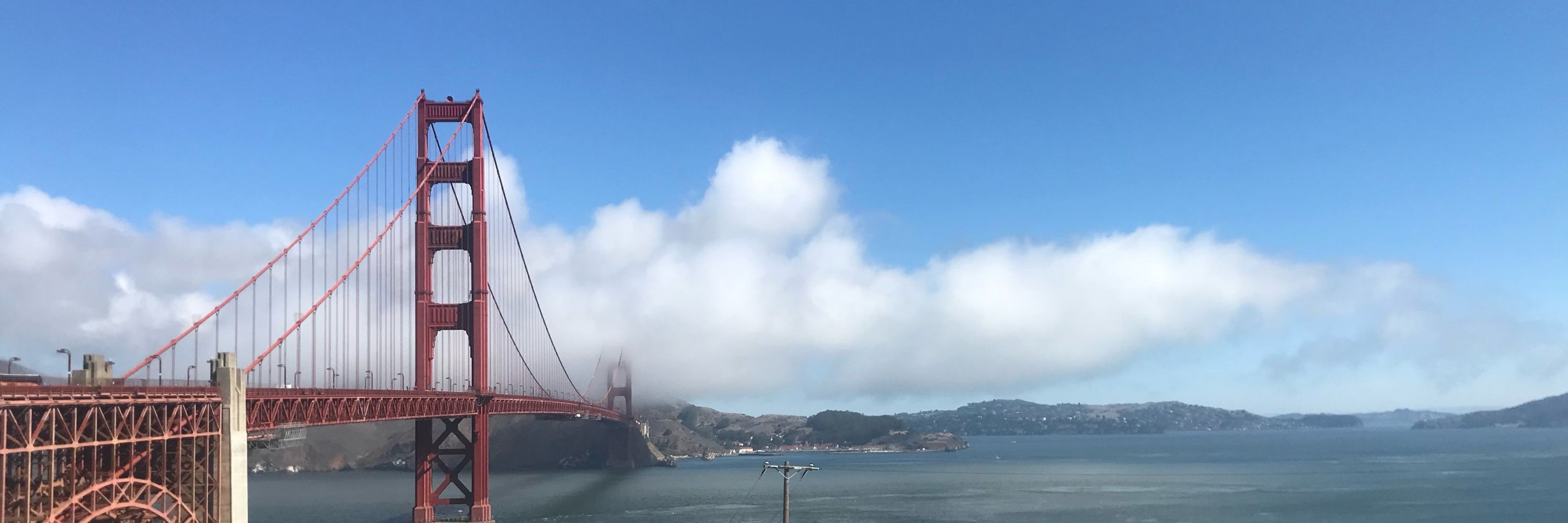 林海豹