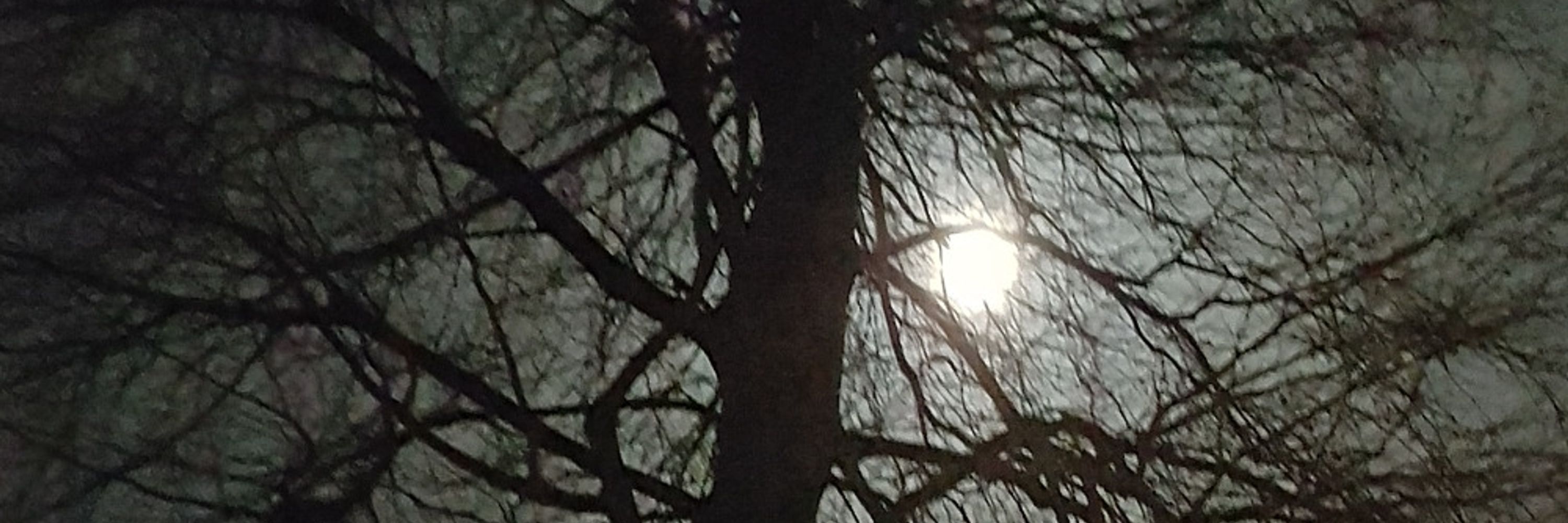 darkerstill