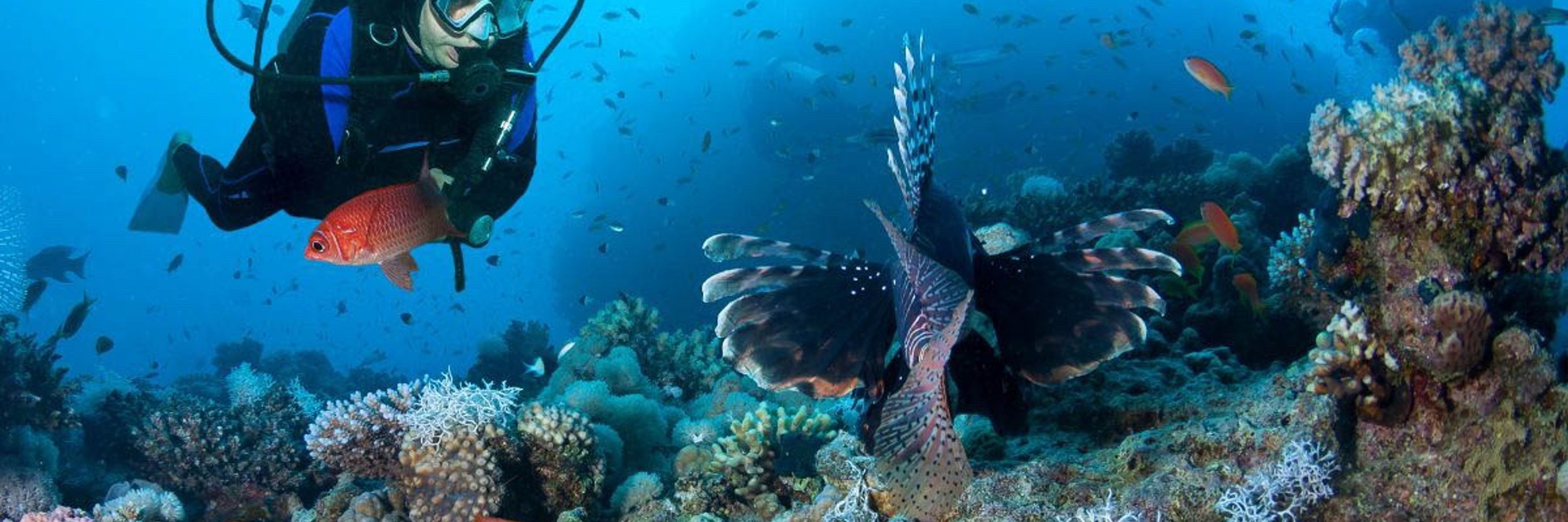 Scuba Diver Books