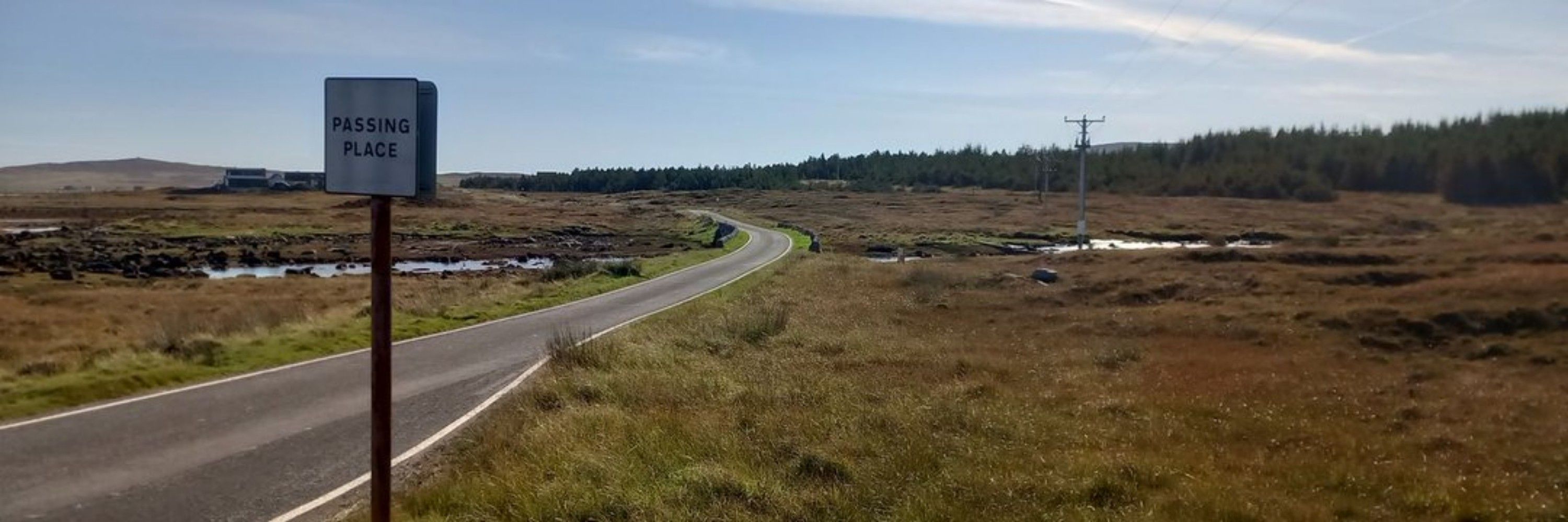 Nebzyk