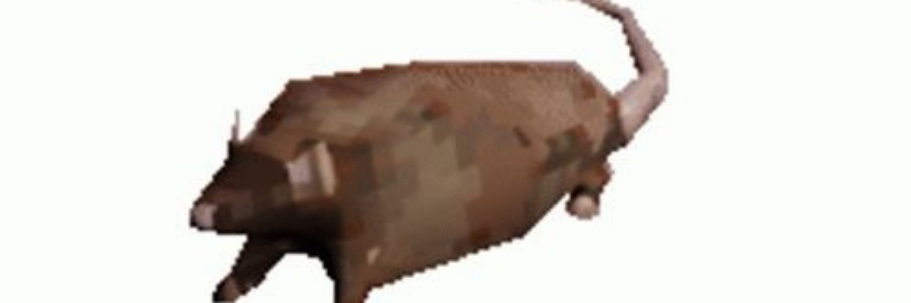 Moxhi