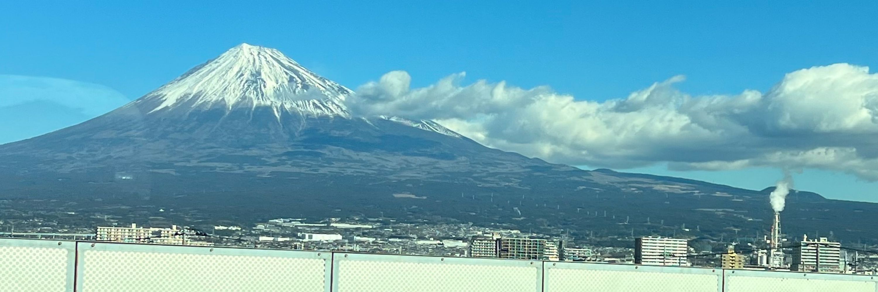 さばお