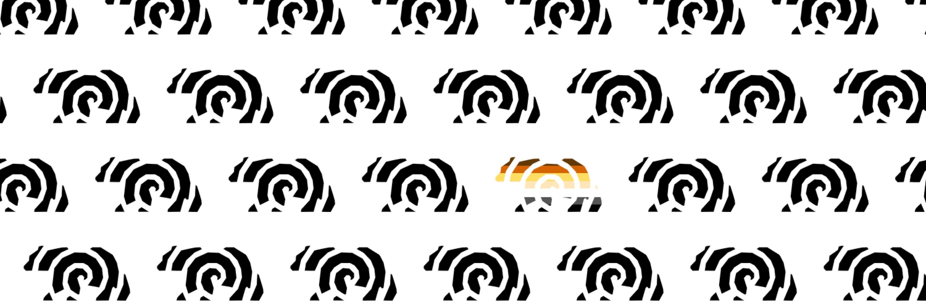 Spiral Bear