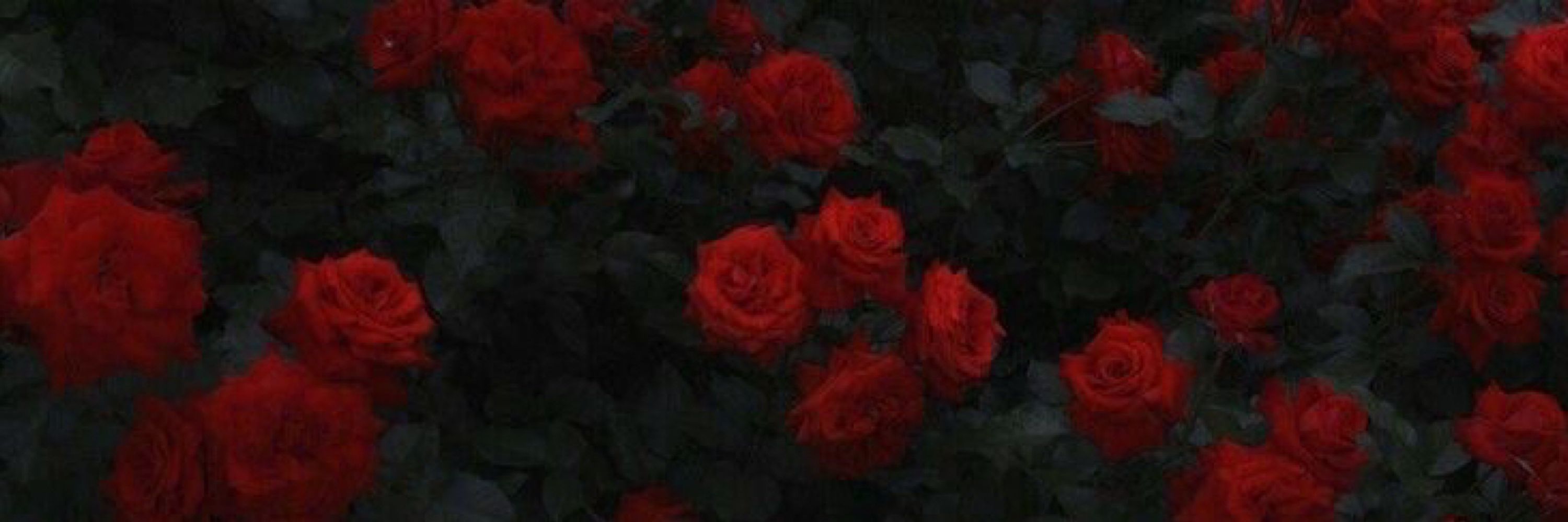 𝖘𝖔𝖔𝖋𝖎🥀